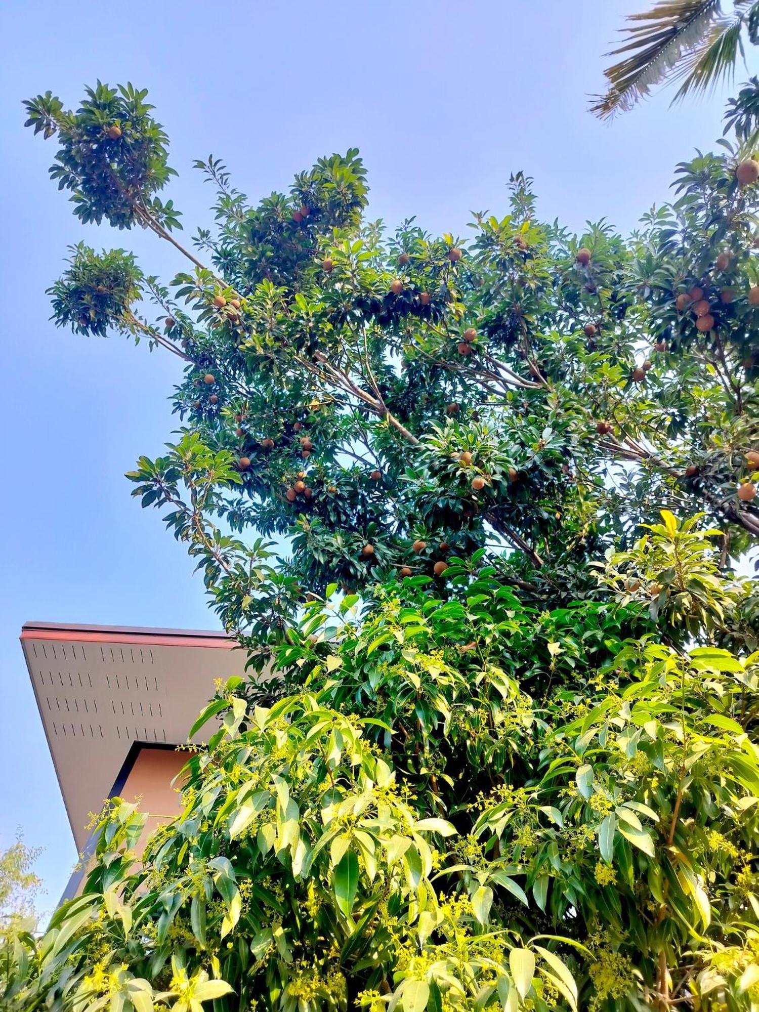 Oldy De Garden Aparthotel Chiang Mai Exterior photo